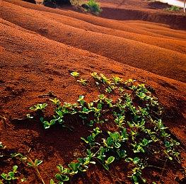 《星空》是否兼容Steam Deck尚未确定 将在未来公布